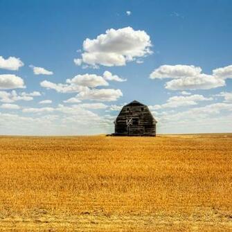 And Old Barn iPad Wallpaper Summer Field