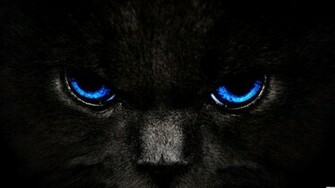 Eyes Wallpaper Blue Cat Yellow Green Red Cats