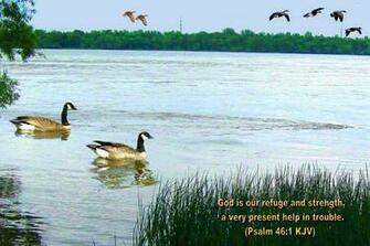 Pslam Kjv Bible Verse Verses