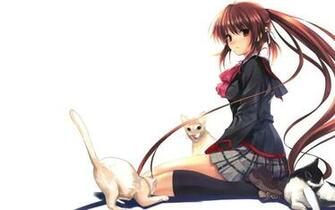 Anime Cat Lover Wallpaper