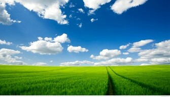 Widescreen Wallpaper Summer HD Eswalls