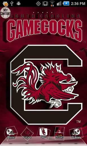 Bigger South Carolina 3d Theme For Android Screenshot