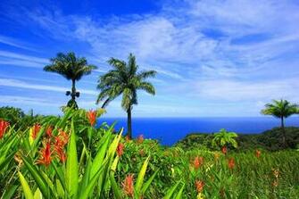 Overlooking The Ocean High Quality And Resolution