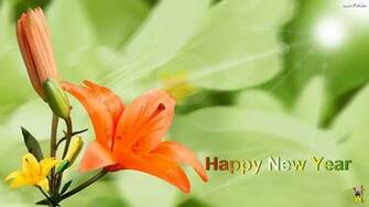 Flower Wallpaper New HD Collection