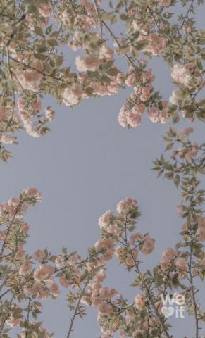 Sunny Day Aesthetic Wallpaper Pastel