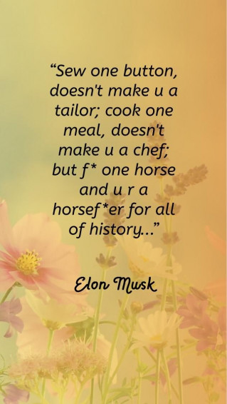 Elon Musk Quote Quotes