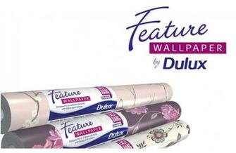 Dulux On A Roll Akzonobel Asked Dgi To Help Stretch The Brand