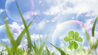 Lucky Clover Wallpaper