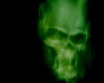 Green Skull Wallpaper Widescreen HD