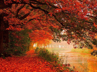X Autumn Wallpaper