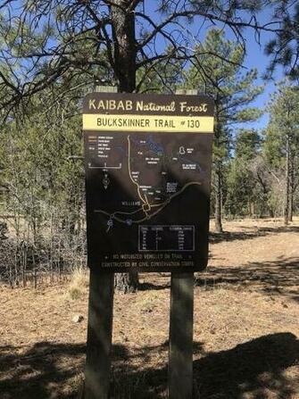 Buckskinner Trail Arizona Alltrails