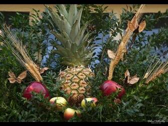World S Best Pineapple Desktop Wallpaper Nature