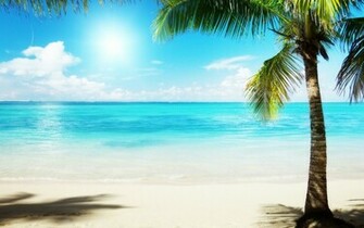 Sunny Island