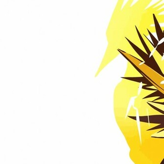 Zapdos Wallpaper