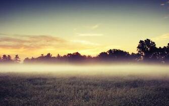 Theme Bin Archive Morning Mist HD Wallpaper
