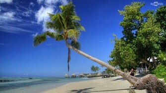 Samoa Beach Wallpaper