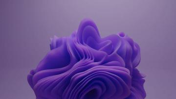 Windows Wallpaper Purple By 11sree
