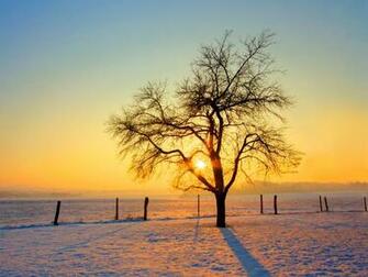 Oh Worship The Lord Sda Hymnal Online Minstry
