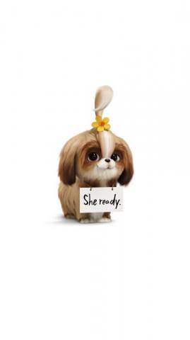 The Secret Life Of Pets Poster Movie