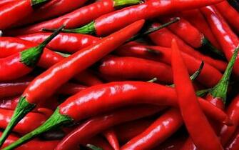 Chili Wallpaper And Background Image Net