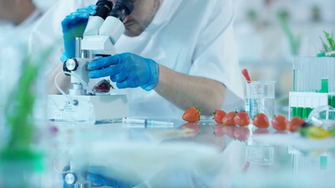 Best Scientist Working Research Chemical Laboratory Wallpaper