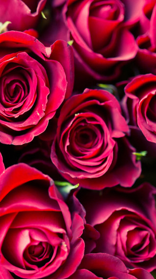 Super Cute Valentine S Day iPhone Wallpaper Preppy
