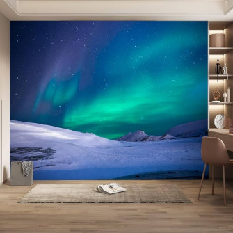 Amazon Northern Lights 3d Wall Mural Snow Mountain Sky