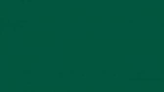 Sacramento State Green Solid Color Background