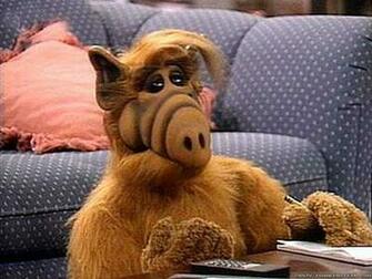 Alf Image Salon Fauteuil HD Wallpaper And Background Photos