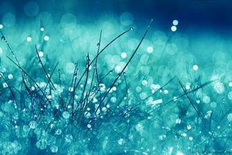 Very Nice Wallpaper Full Size HDesktops