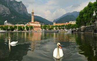 Lake Como Swan Ptinv Sky Mountain City Wallpaper Photos