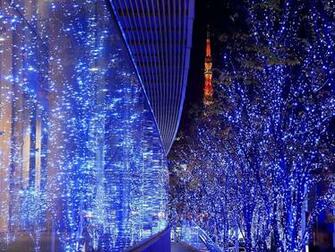 Around Christmas Night Lighting Dislpay Wallpaper