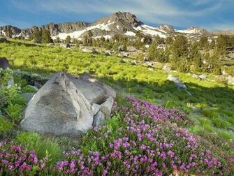 Best Desktop HD Wallpaper Spring