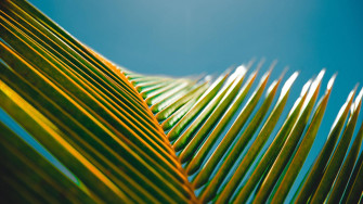 Top Macbook Pro 4k Wallpaper Full HD To Use