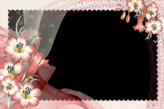 Wallpaper Borders And Frames Border
