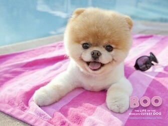 Kawaii Wallpaper The Cutest Ever