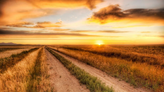 Country Roads Wallpaper