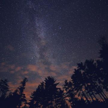 Night Sky Stars Milkyway Wood Nature Blue iPad Air Wallpaper