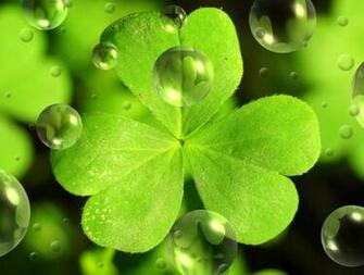 Happy Saint Patrick S Day Wallpaper