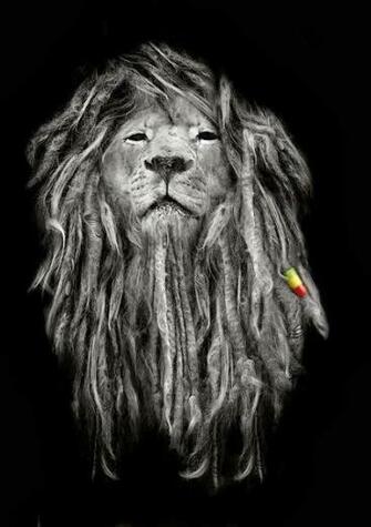 Barca Wallpaper Rasta Lion