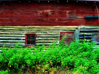 Tablet Barn Wallpaper Spider Animal