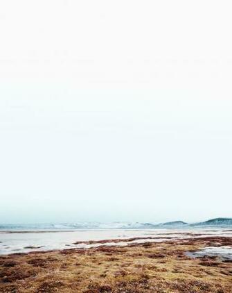 Beautiful Earth Day Wallpaper From Apple Iclarified