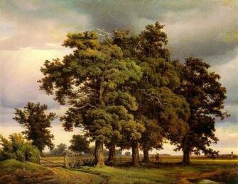 Oak Trees German Art Wallpaper Image