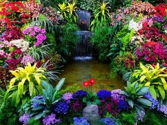 Nature Mobile Screensavers Live HD Wallpaper Hq Pictures Image