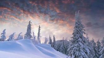 Winter And Snow Wallpaper Net