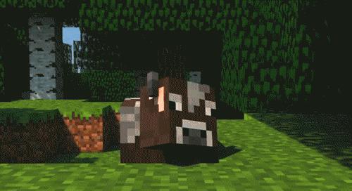 On Planetminecraft