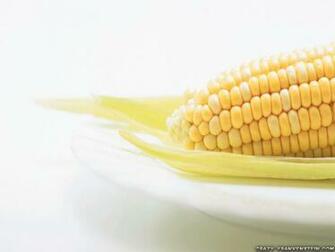 Wallpaper Corn Vegetables Resolution Wide Screen Size