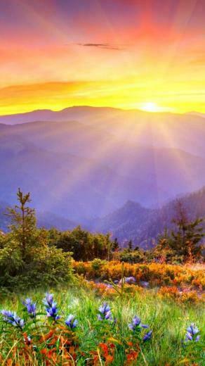Beautiful Sunrise iPhone Wallpaper Landscape
