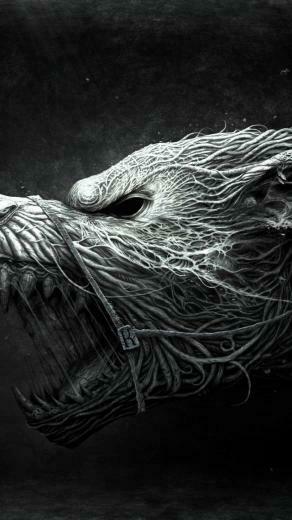 Wallpaper Wolf Hellhound Art Black And White Dangerous Noise