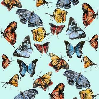 One Kings Lane An Artist S Approach Butterflies On Tiffany Blue